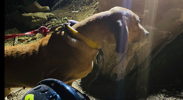 Estraggono vivo il primo cucciolo dalla grotta