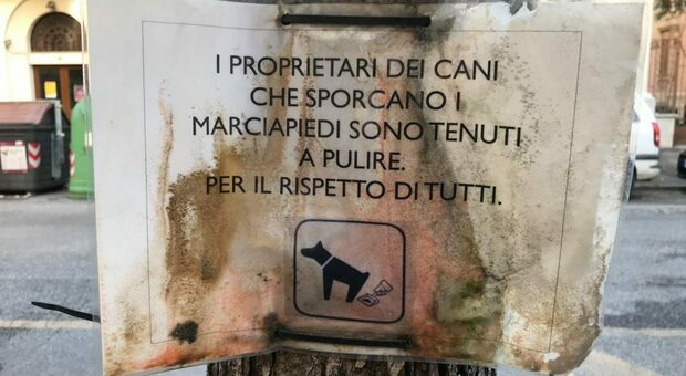 Escrementi dei cani davanti alla chiesa, sfogo social del parroco: «Fategli fare i bisogni a casa»