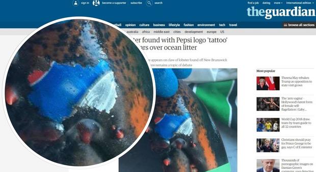 Aragosta con il logo Pepsi 'stampato' sulla chela: ecco la foto choc sull'inquinamento in mare (The Guardian)