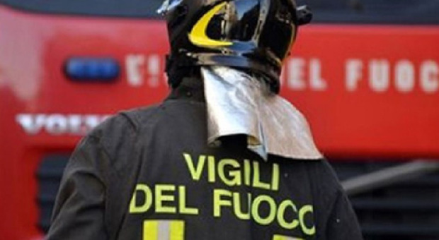 Incendio in un allevamento a Nocera, morti carbonizzati 13 cani