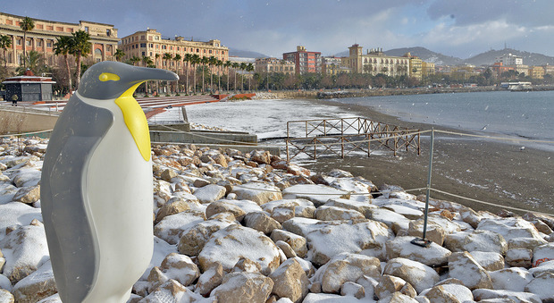 Salerno sotto zero, selfie e battute «È la vendetta dei pinguini»