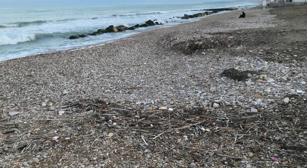 Spiaggia dei fachiri, dopo le proteste le pietre aguzze saranno triturate