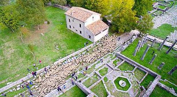 La transumanza patrimonio immateriale Unesco: le implicazioni per l'Abruzzo