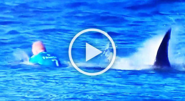 Surf, World Tour: uno squalo attacca l'iridato Fanning, solo tanta paura