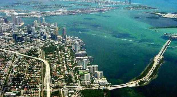 Miami "vice": al centro una ventina di società con sede nel Delaware