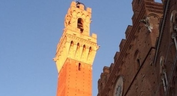 suicidio dalla Torre del Mangia: orrore sul web, circola un video dell'estremo gesto