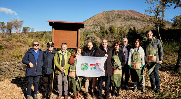 Parco Nazionale del Vesuvio: nuovo intervento di rinaturalizzazione nelle aree colpite dagli incendi