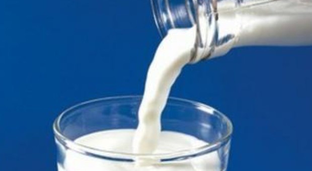 Latte, dannosa per la salute la moda di eliminarlo dalla dieta