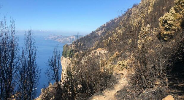 Amalfi, Sos dal sentiero degli Dei: uomo precipita durante l'escursione