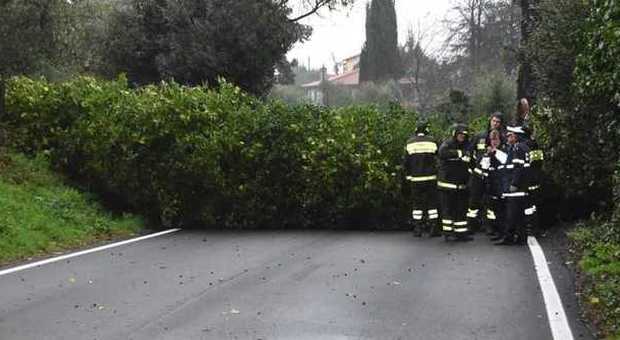 Maltempo Roma, albero cade su auto in transito: un ferito. Vento a 80 km/h a Ostia
