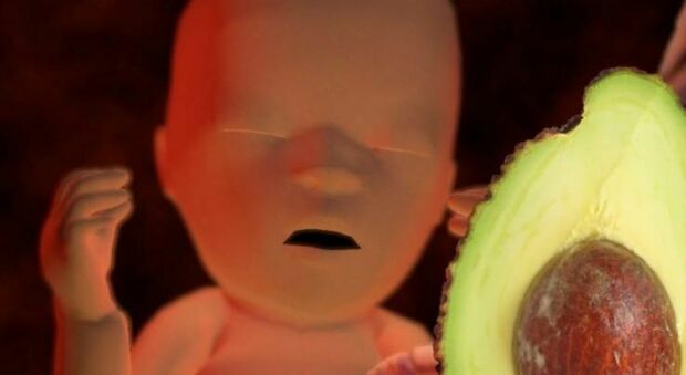 Chiara Ferragni incinta, l'influencer mostra ai fan le dimensioni del bimbo in arrivo: «È un avocado»