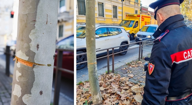 Milano, piazza un cavo d’acciaio in strada ad altezza d’uomo, 24enne arrestato per strage: «Mi stavo annoiando»