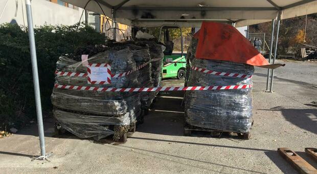 Maxi sequestro di cozze "illegali", più di quattro tonnellate: fermato camion frigo