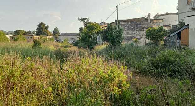 I residenti: «Erbacce e rifiuti in Borgo Peranzoni. Necessaria un’ordinanza del sindaco»