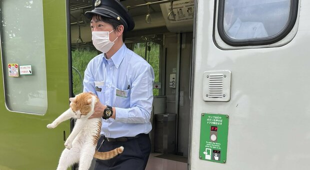 Gatto "clandestino" a bordo, il treno ritarda di 30 secondi: in Giappone diventa un caso