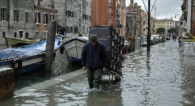 Torna l'acqua alta a Venezia: punte di 110 cm sia oggi che domani