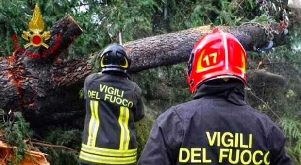 Il vento fa crollare albero sul raccordo Avellino-Salerno