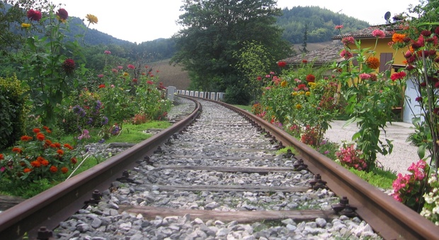 Pista ciclabile sull'ex ferrovia, no secco di Rfi al Comune: «Sulla Fano-Urbino valutiamo il ritorno del treno»