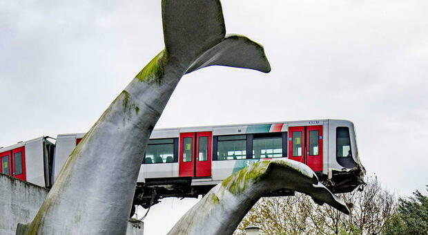 Metro deraglia in Olanda, treno salvato dalla coda di una balena in plastica