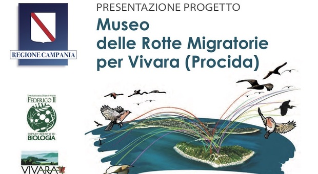 Procida, in Regione la presentazione del Museo delle rotte migratorie per Vivara