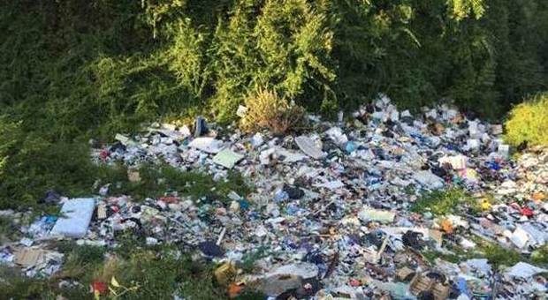 Discarica abusiva di rifiuti zootecnici: sequestrata area di 10mila metri quadri, 2 denunce