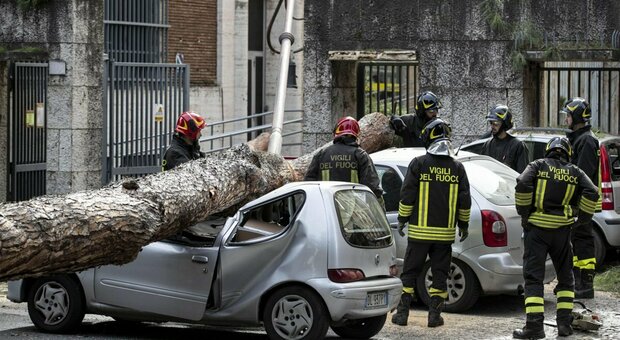 Roma, albero crollato in Viale Mazzini: primi indagati in Campidoglio