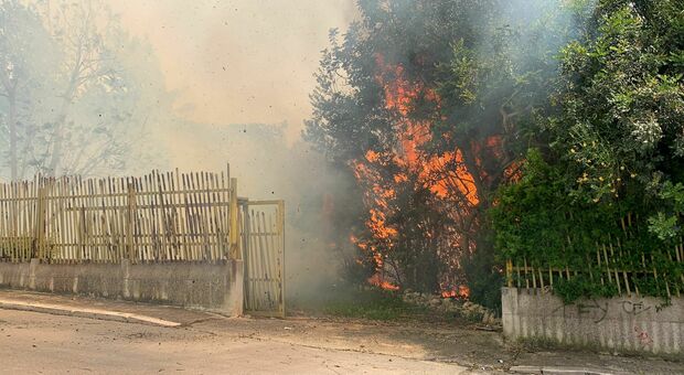 Incendio nel parco: allarme tra i residenti della zona