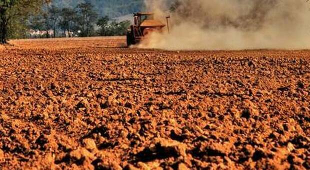 Urina come fertilizzante in agricoltura: l'idea di una start up francese