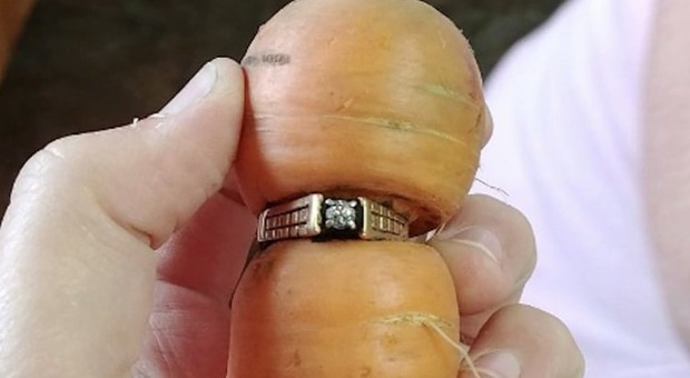 Canada, perde l'anello di fidanzamento nei campi: 13 anni dopo lo ritrova attorno a una carota