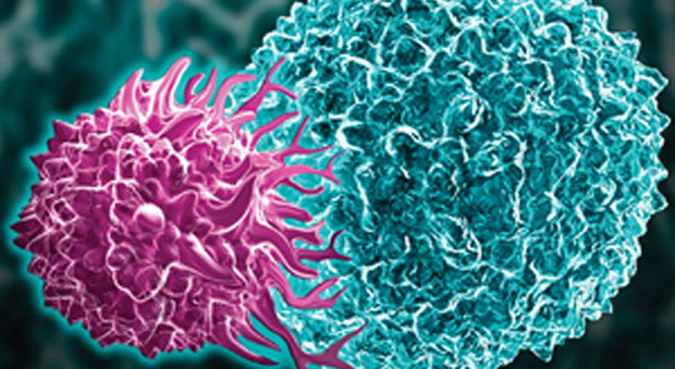Cancro, rivoluzione Usa. Terapia genica Yescarta trasforma i linfociti in killer tumorali