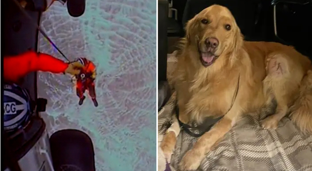 Leo, il cucciolo di golden retriver salvato in elicottero dalla guardia costiera: era caduto da una scogliera di 300 metri