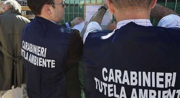 Rifiuti, truffa da 1,4 milioni euro: in 9 agli arresti domiciliari, c'è anche il presidente della Ternana Calcio