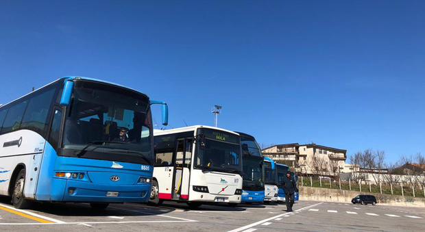 Air: «Più bus per Nola e la Puglia» ma taglia le corse per Atripalda