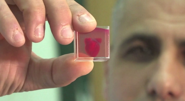 Gli scienziati dell'Università di Tel Aviv hanno presentato il primo mini cuore stampato in 3D