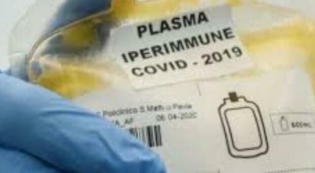 Plasma iperimmune, l’Avis invita alla donazione: le scorte per curare i malati di Covid sono esaurite a Marche Nord