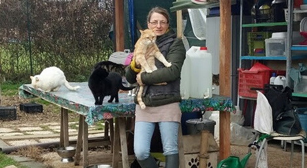 Foligno, l'appello dell'Oasi Felina: «Aiutateci a sostenere i gatti abbandonati e gravemente malati»