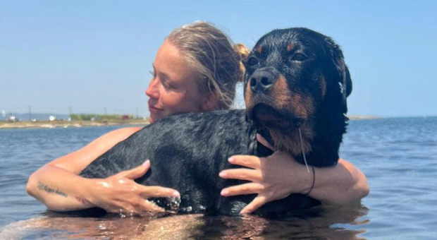 Rottweiler precipita su una donna incinta, la padrona del cane: «Non mi hanno fatto avvicinare, Cody si poteva salvare»