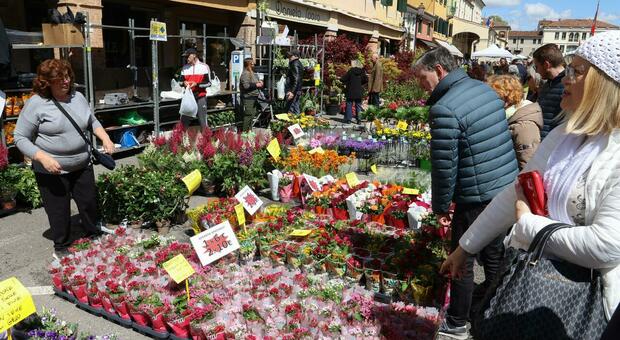 Liberazione e festa dei fiori, Mirano invasa dalla gente. Migliaia di persone in città a visitare i 120 stand dedicati al mondo floreale