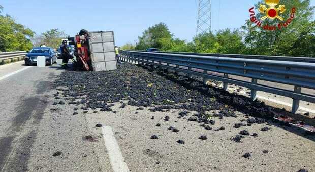 Incidente stradale, scoppia lo pneumatico e il camion si ribalta: statale invasa dall'uva