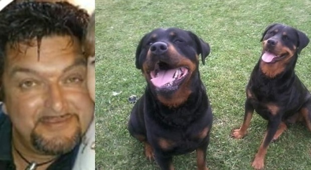 Azzannato dai rottweiler della compagna in giardino, Massimo muore dissanguato a 49 anni