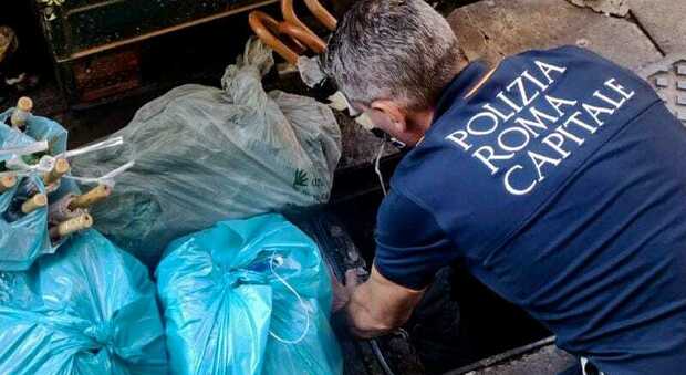 Campionario del falso scoperto nei tombini intorno alla Fontana di Trevi: sequestrati 10 mila articoli