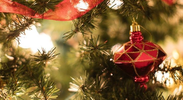 Delizie gastronomiche e intrattenimenti, ad Alatri, Antrodoco e Serra de’ Conti è già Natale