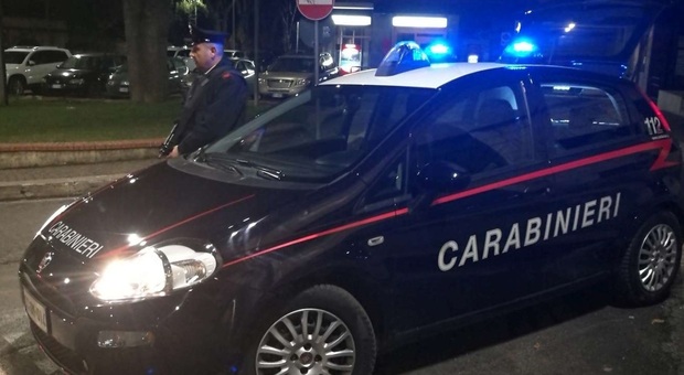 Ladri di ferro, bloccati dai carabinieri due "polesani": un arresto e una denuncia