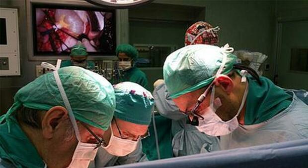 Torino, trapianto record: 82enne dona il rene al figlio di 53 anni e lo salva