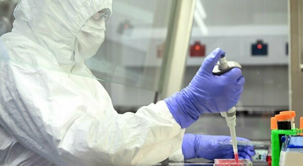 Influenza più virus respiratorio sinciziale: a Glasgow scoperto virus ibrido «mai osservato finora»