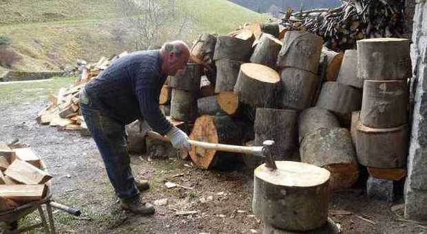 Taglia la legna, ma un ceppo schizza e centra la moglie: fratture multiple