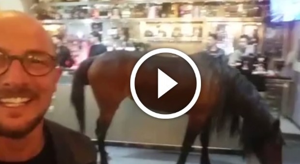 Il cavallo fa un giro al bar, la visita inaspettata a Casoria