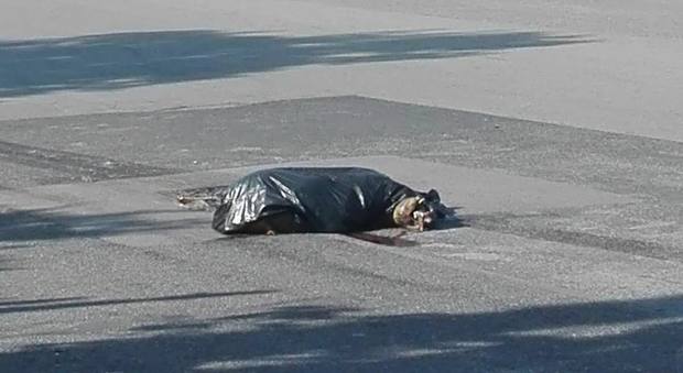 Orrore in Campania, cane rinchiuso nel sacco nero e scaricato in strada
