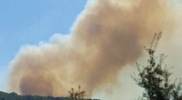 Paura tra Rocca e Nocera Superiore, incendio divampa lungo zona collinare