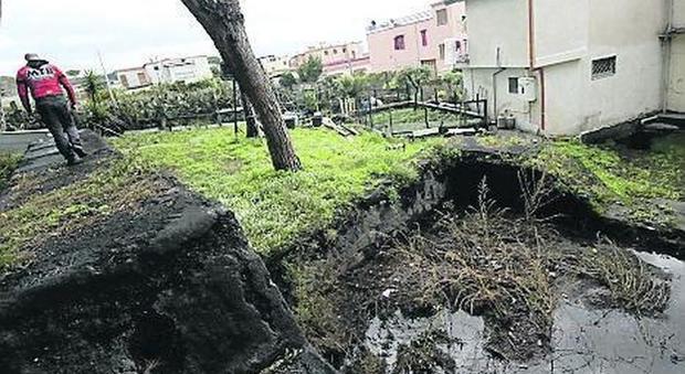 Frane, fango e pini crollati: è allarme rosso sul Vesuvio